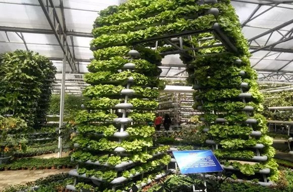 ?成功的休闲农业园都有这5类情景体验式设计！