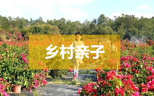 乡村亲子乐园规划设计内容汇总